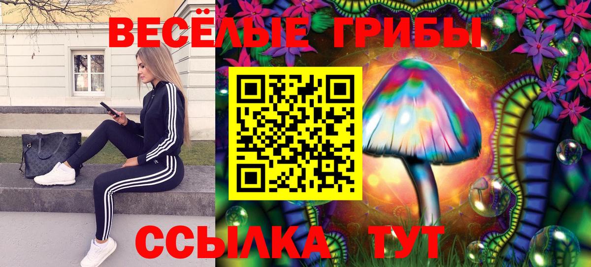 Галлюциногенные грибы прущие грибы Котовск