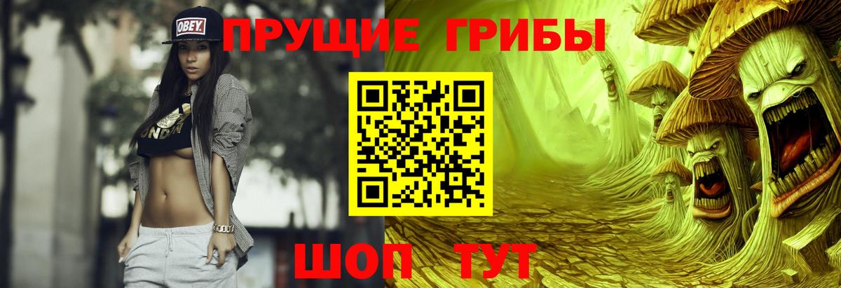 дарнет шоп  Вход с VPN  Котовск  Галлюциногенные грибы Magic Shrooms 